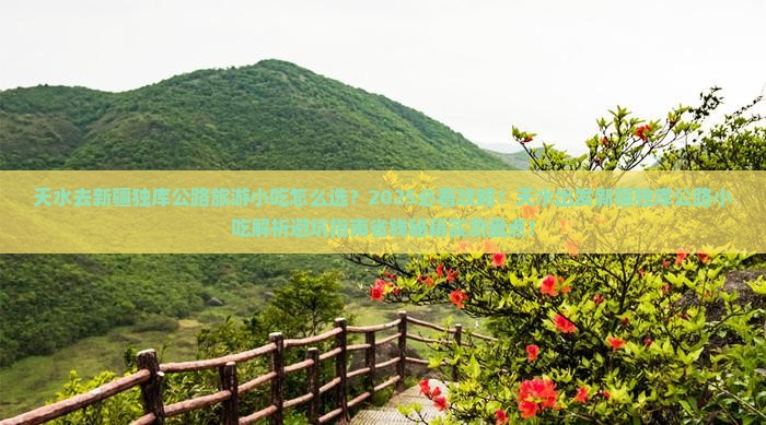 天水去新疆独库公路旅游小吃