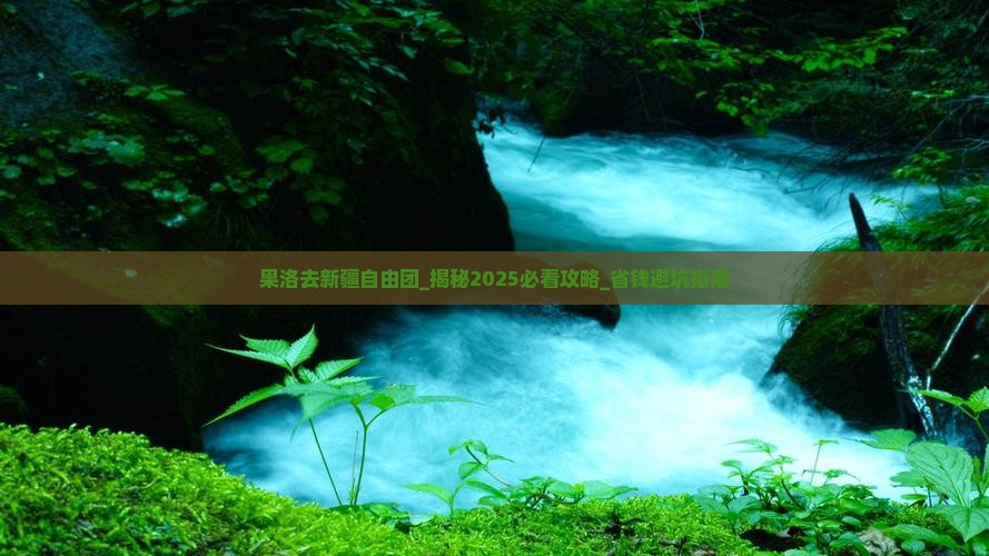 果洛去新疆自由团