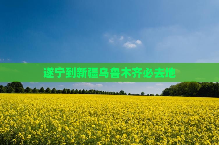 遂宁到新疆乌鲁木齐必去地