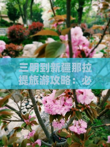 三明到新疆那拉提大型旅游团