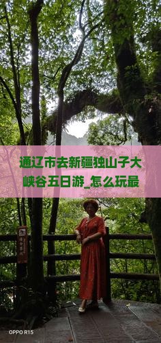 通辽市去新疆独山子大峡谷五日游