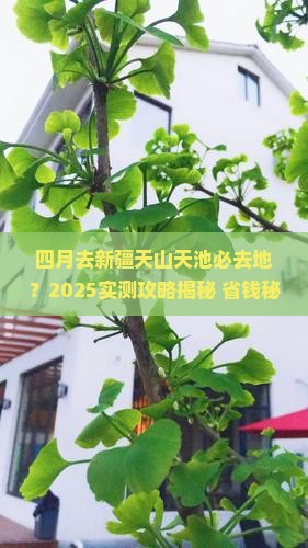 四月去新疆天山天池必去地