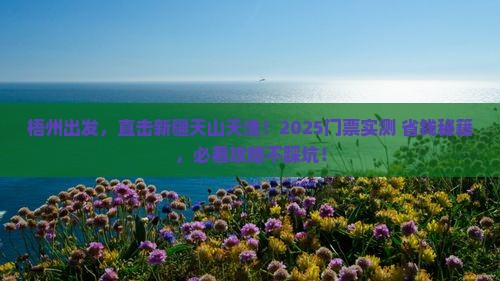梧州到新疆天山天池门票