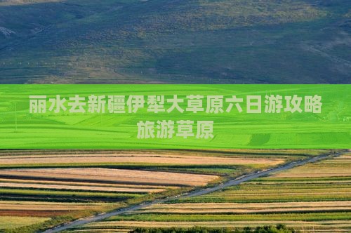 丽水去新疆伊犁大草原六日游