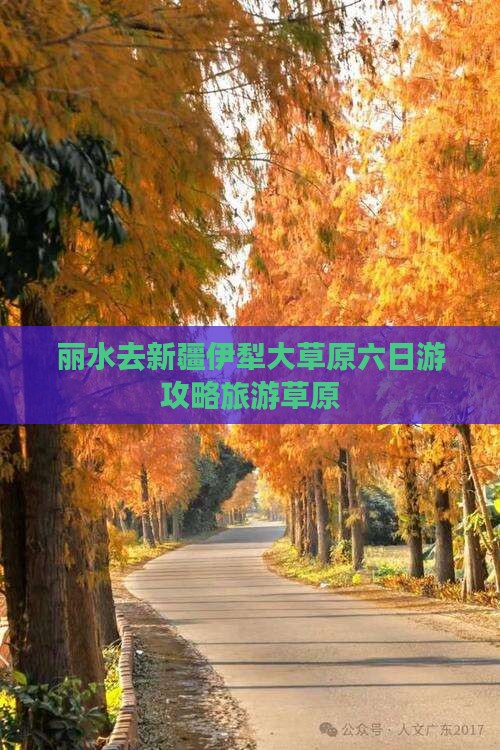 丽水去新疆伊犁大草原六日游