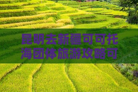 昆明去新疆可可托海团体旅游