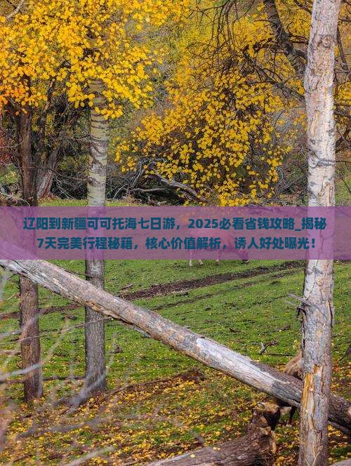 辽阳到新疆可可托海七日游
