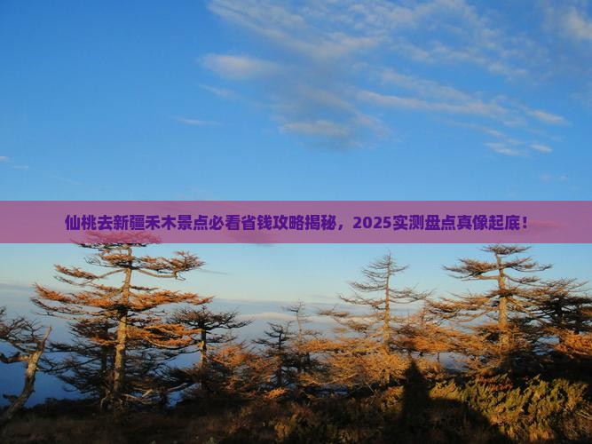 仙桃去新疆禾木景点