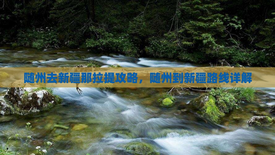 随州去新疆那拉提攻略
