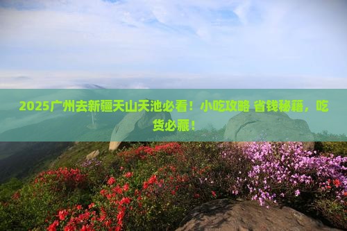 广州去新疆天山天池旅游小吃