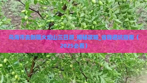 乌海市去新疆火焰山三日游