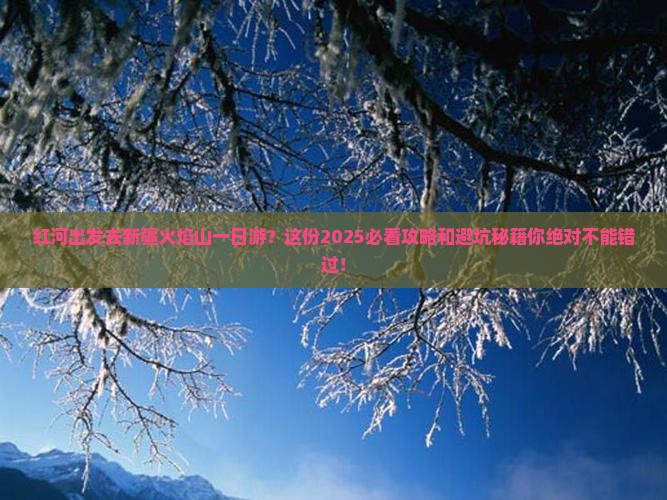 红河去新疆火焰山一日