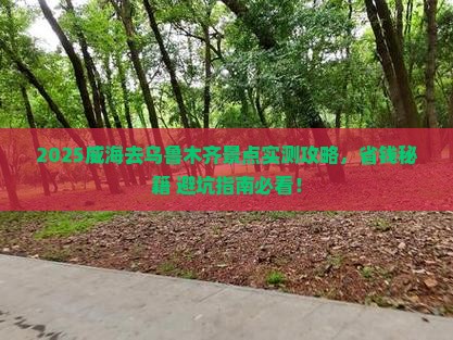 威海去新疆乌鲁木齐景点