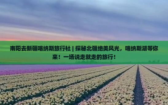 南阳去新疆喀纳斯旅行社