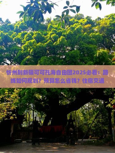 忻州到新疆可可托海自由团