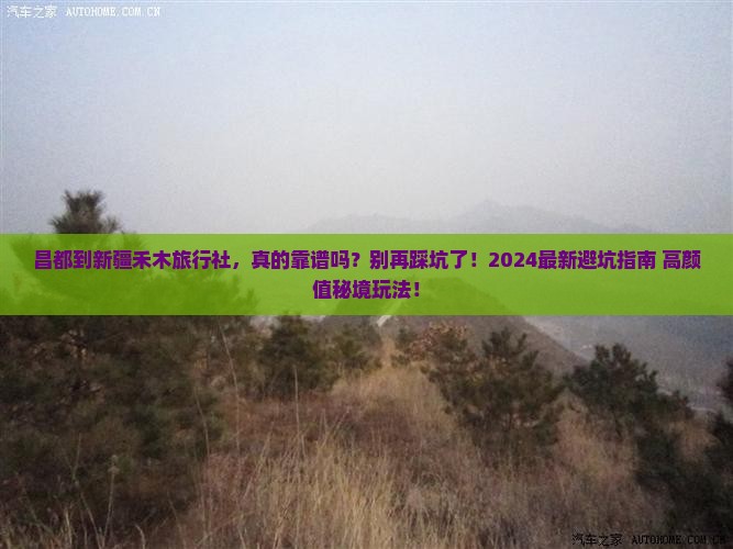 昌都到新疆禾木旅行社