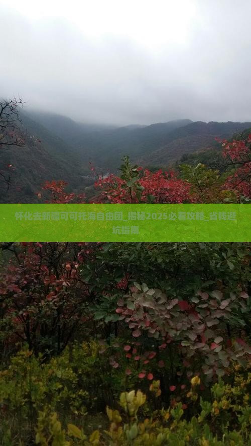 怀化去新疆可可托海自由团