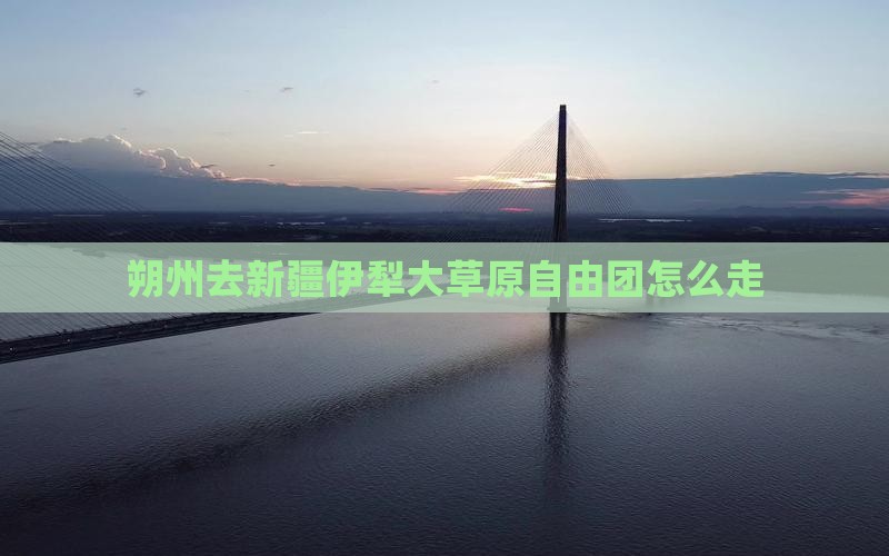 朔州去新疆伊犁大草原自由团