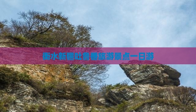 衡水到新疆吐鲁番一日