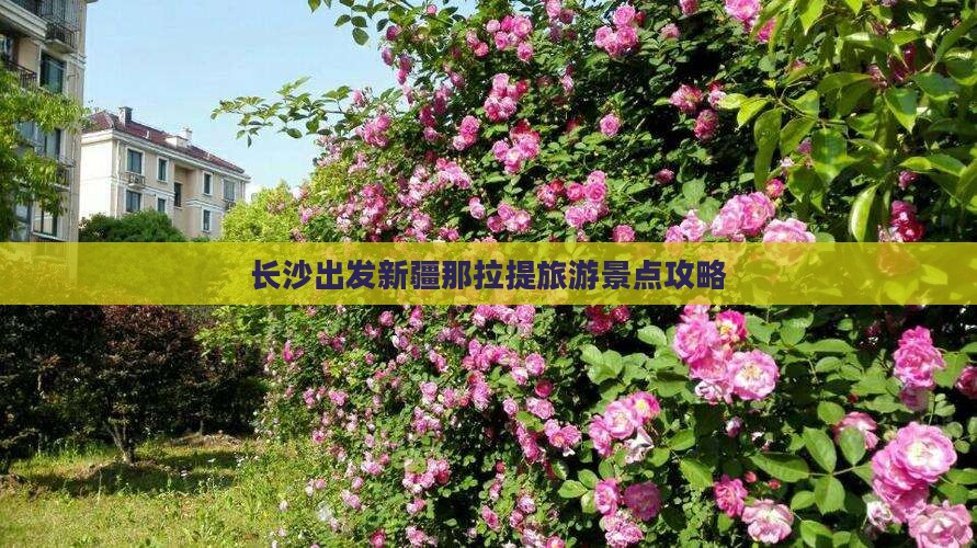 长沙到新疆那拉提必去地