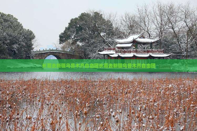 长葛去新疆乌鲁木齐自由团