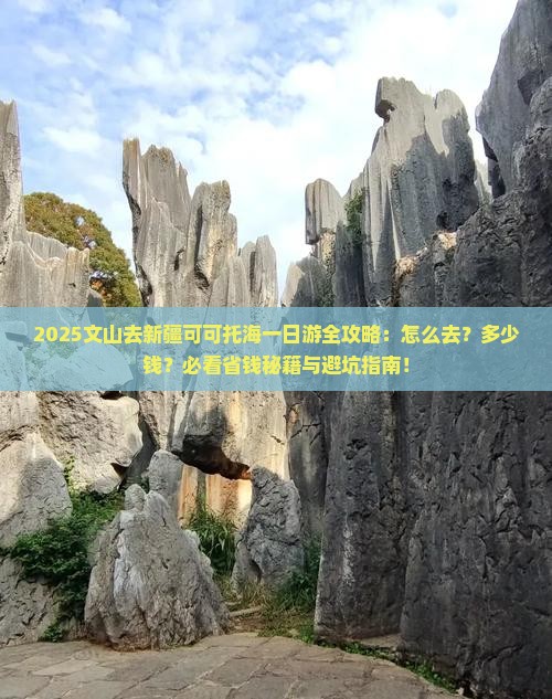 文山去新疆可可托海一日