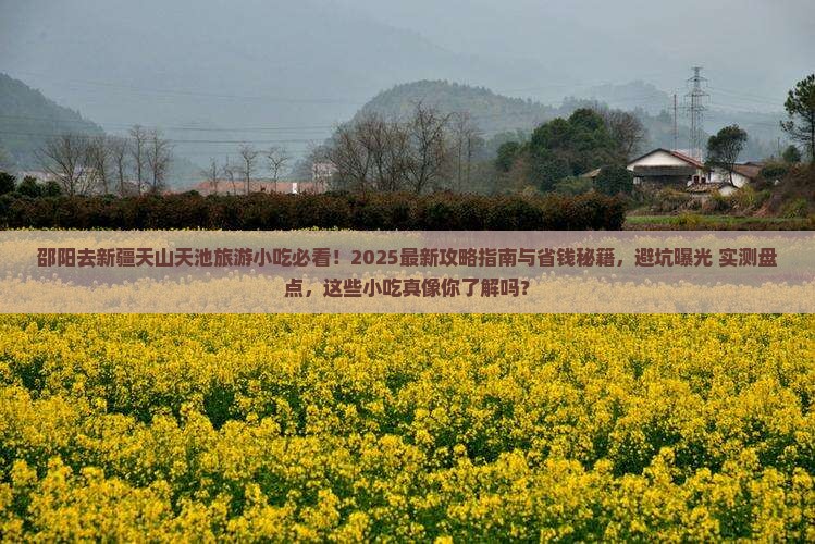 邵阳去新疆天山天池旅游小吃