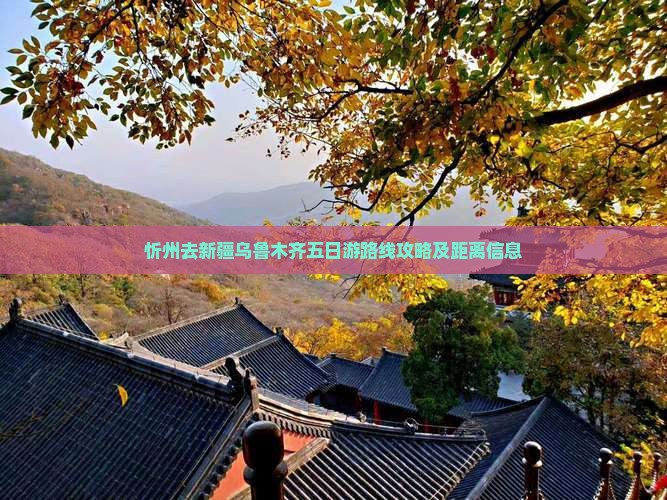 忻州去新疆乌鲁木齐五日游