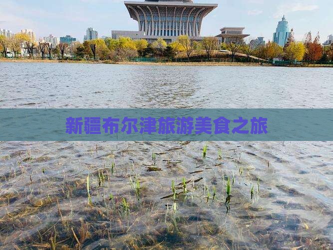吴忠去新疆布尔津旅游小吃