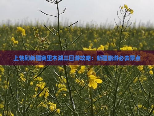 上饶到新疆赛里木湖三日游