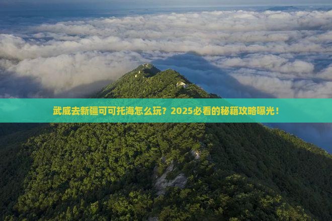 武威去新疆可可托海哪里玩