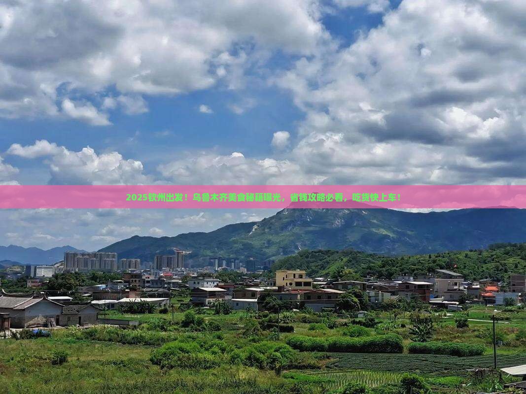 钦州去新疆乌鲁木齐旅游小吃