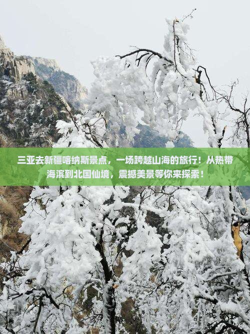 三亚去新疆喀纳斯景点