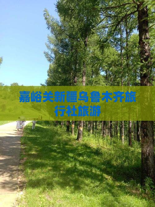 嘉峪关去新疆乌鲁木齐旅行社