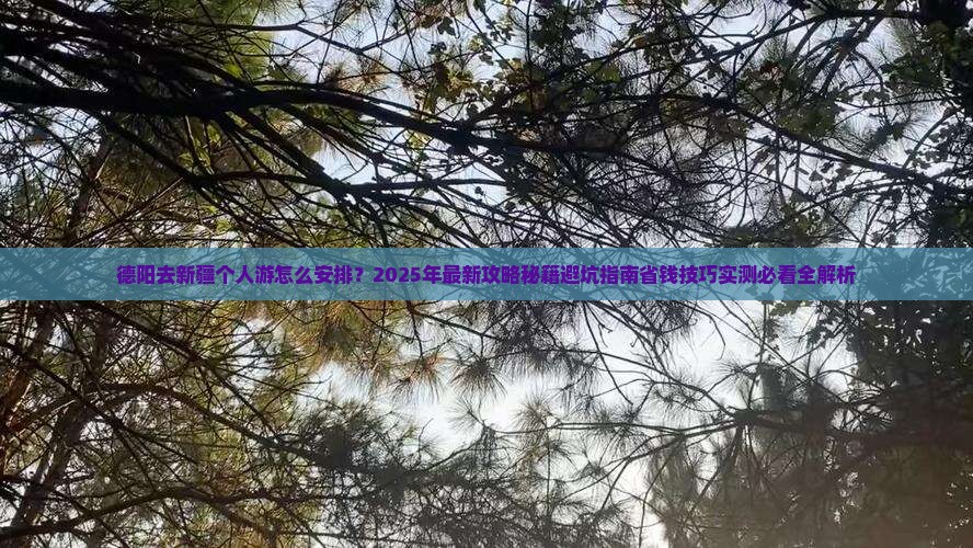 德阳去新疆个人游