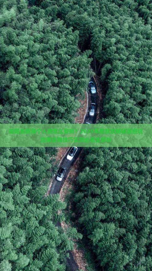 德阳去新疆个人游