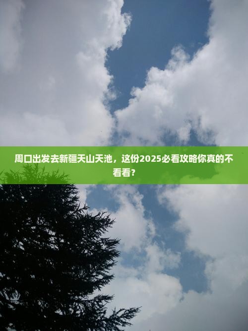 周口去新疆天山天池旅行社