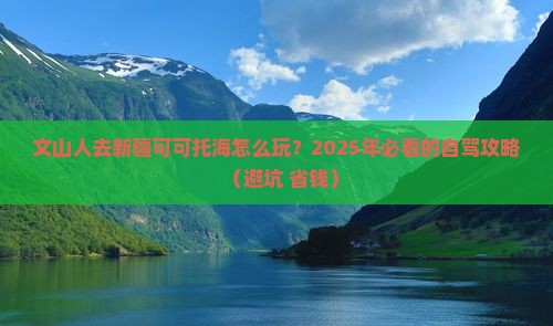 文山去新疆可可托海个人游