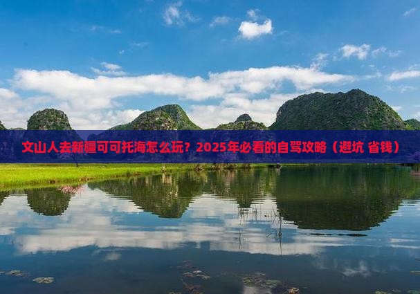 文山去新疆可可托海个人游