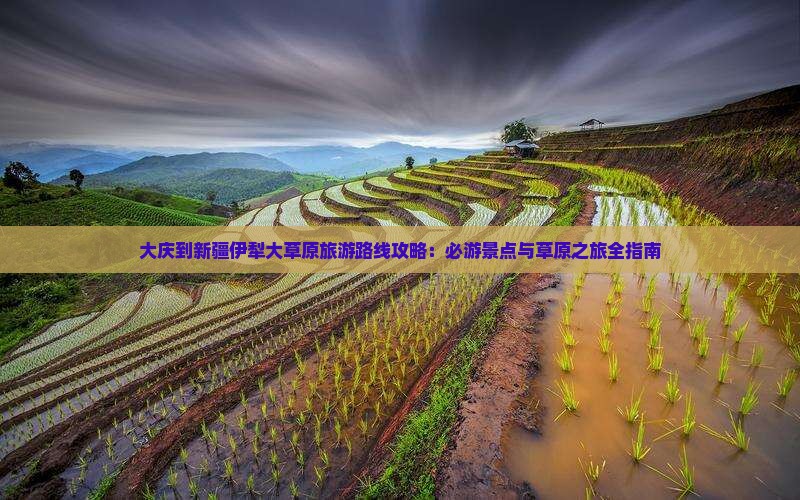 大庆到新疆伊犁大草原旅游