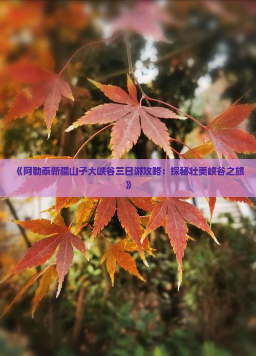 《阿勒泰新疆山子大峡谷三日游攻略：探秘壮美峡谷之旅》