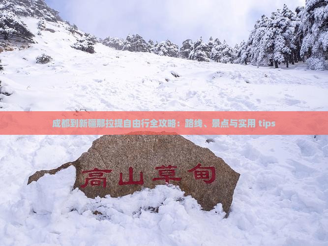 成都到新疆那拉提自由行全攻略：路线、景点与实用 tips