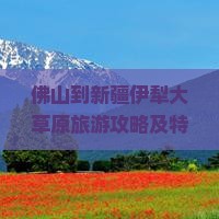 佛山到新疆伊犁大草原旅游攻略及特色小吃推荐
