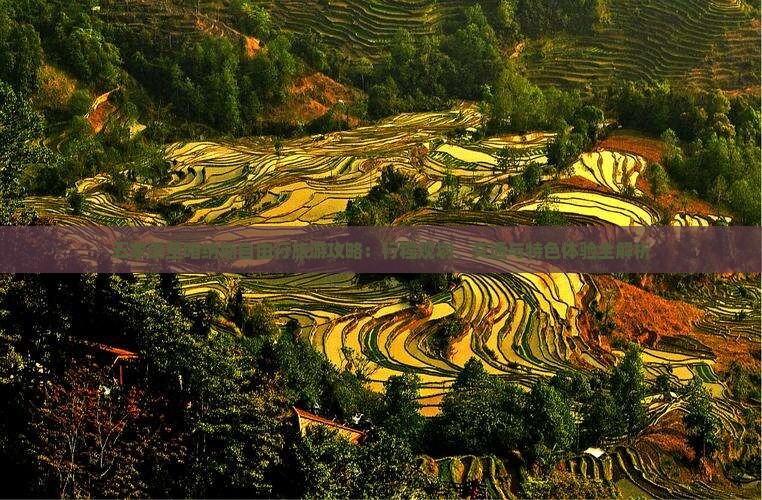 五家渠至喀纳斯自由行旅游攻略：行程规划、交通与特色体验全解析
