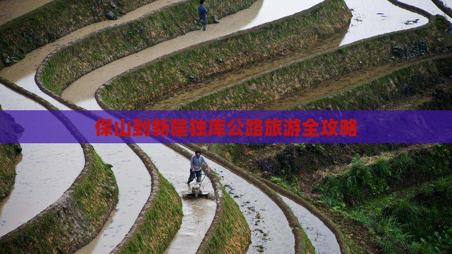 保山去新疆独库公路旅游