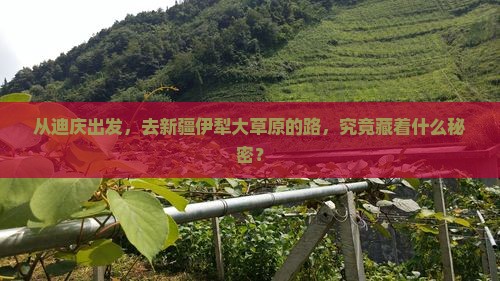 迪庆到新疆伊犁大草原攻略