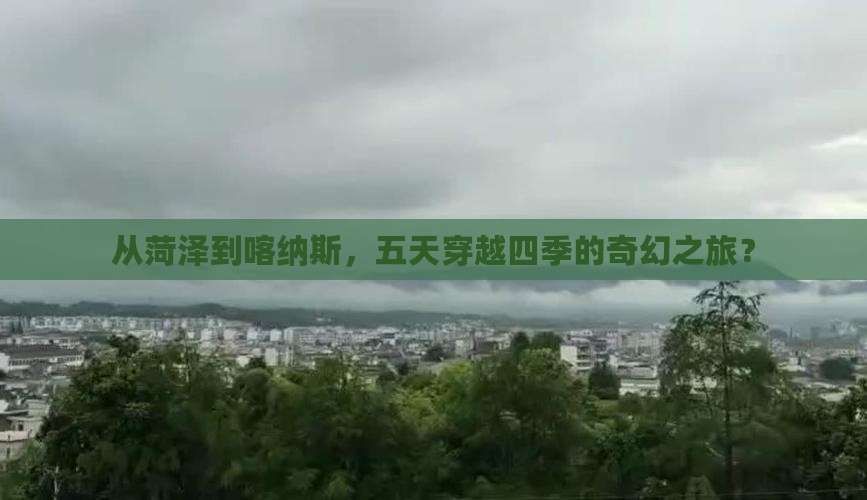 菏泽到新疆喀纳斯五日游