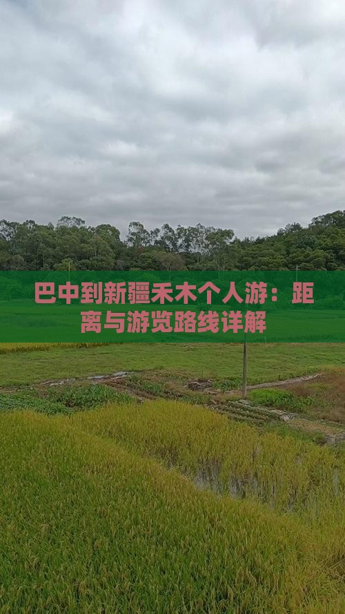 巴中到新疆禾木个人游