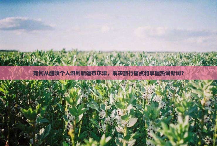 醴陵去新疆布尔津个人游