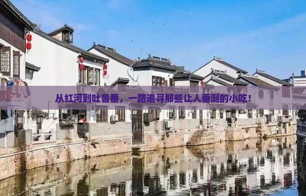 红河去新疆吐鲁番旅游小吃